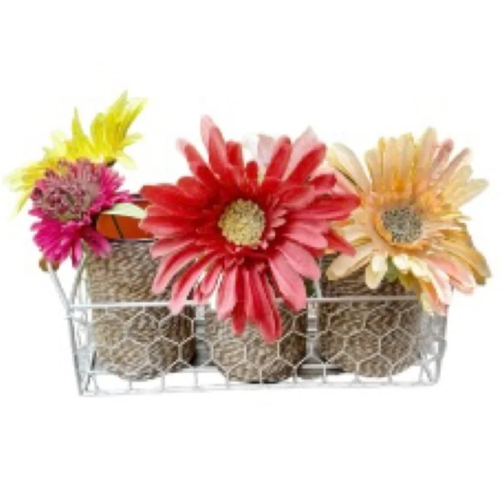 Farmhouse Shabby Chic Chicken Wire Basket Caddy Server 3 Twine Wrapped Cans